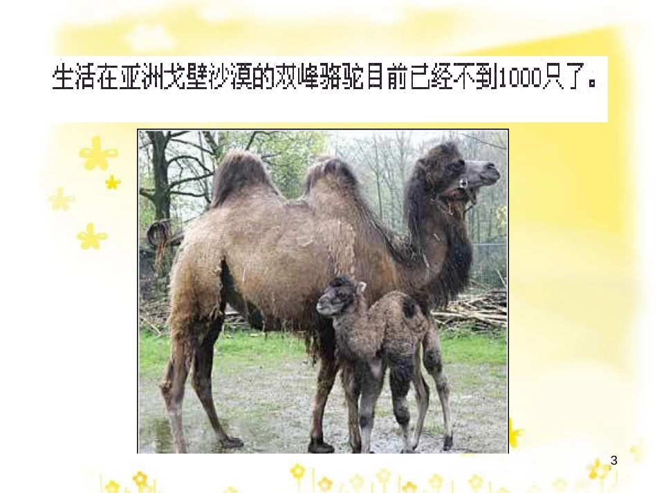 高中地理 第四章 生态环境保护 4.4 生物多样性保护课件 新人教版选修6_第3页
