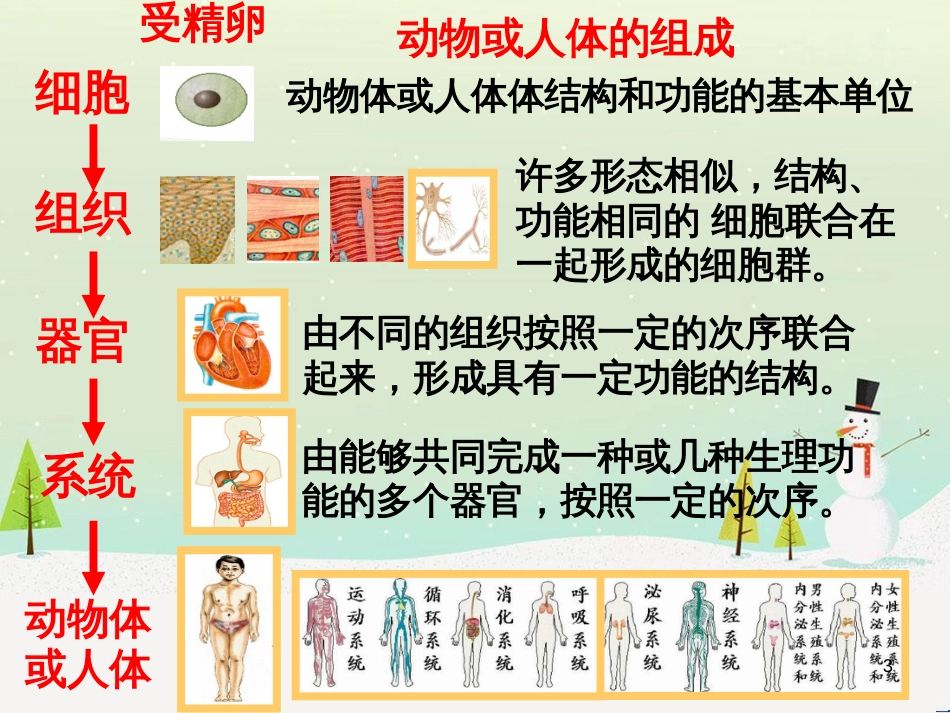 八年级物理上册 1.3《活动降落伞比赛》课件 （新版）教科版 (237)_第3页