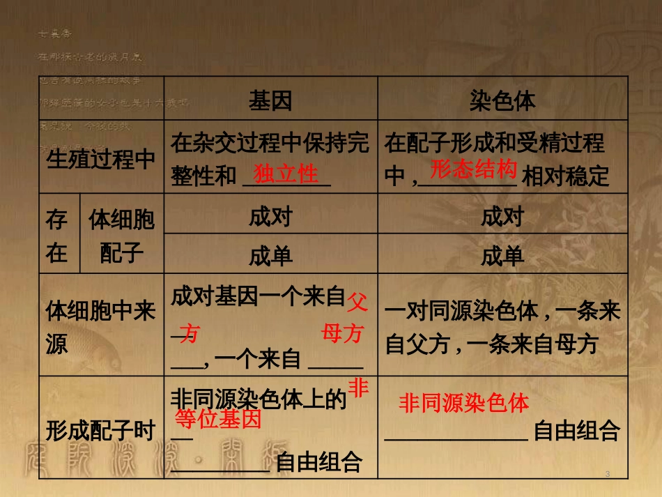 高考生物一轮复习 第二单元 基因的本质与表达 第1讲 DNA是主要的遗传物质课件（必修2） (10)_第3页