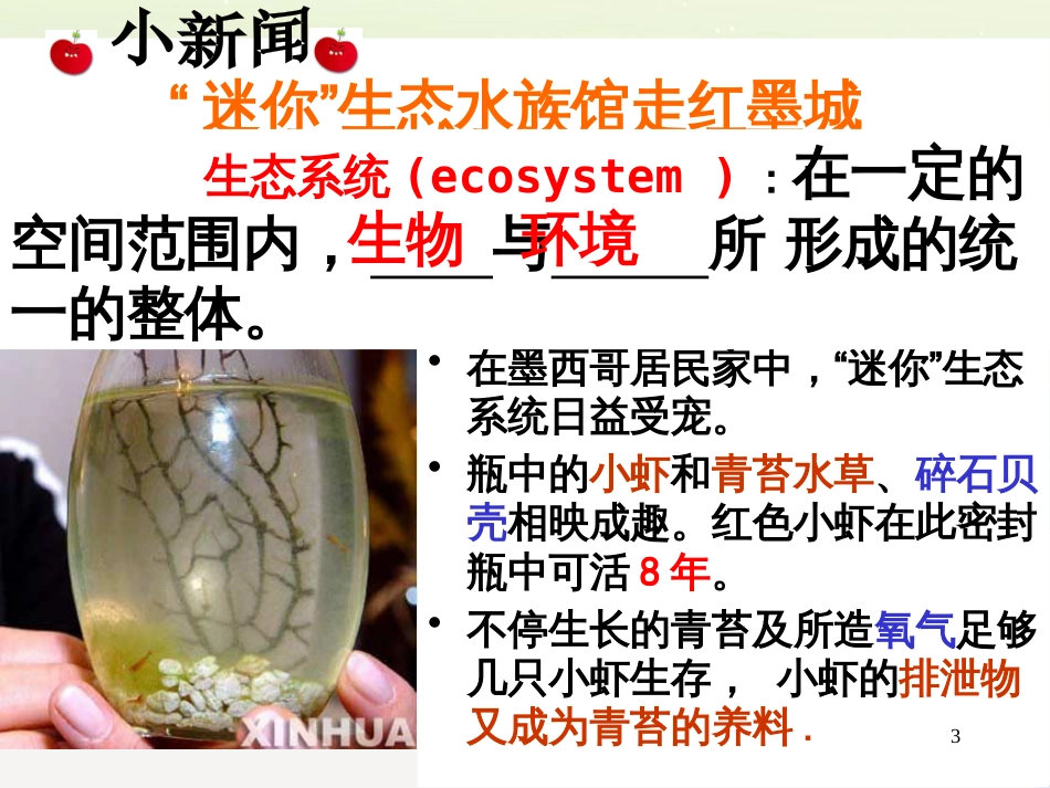 八年级物理上册 1.3《活动降落伞比赛》课件 （新版）教科版 (230)_第3页