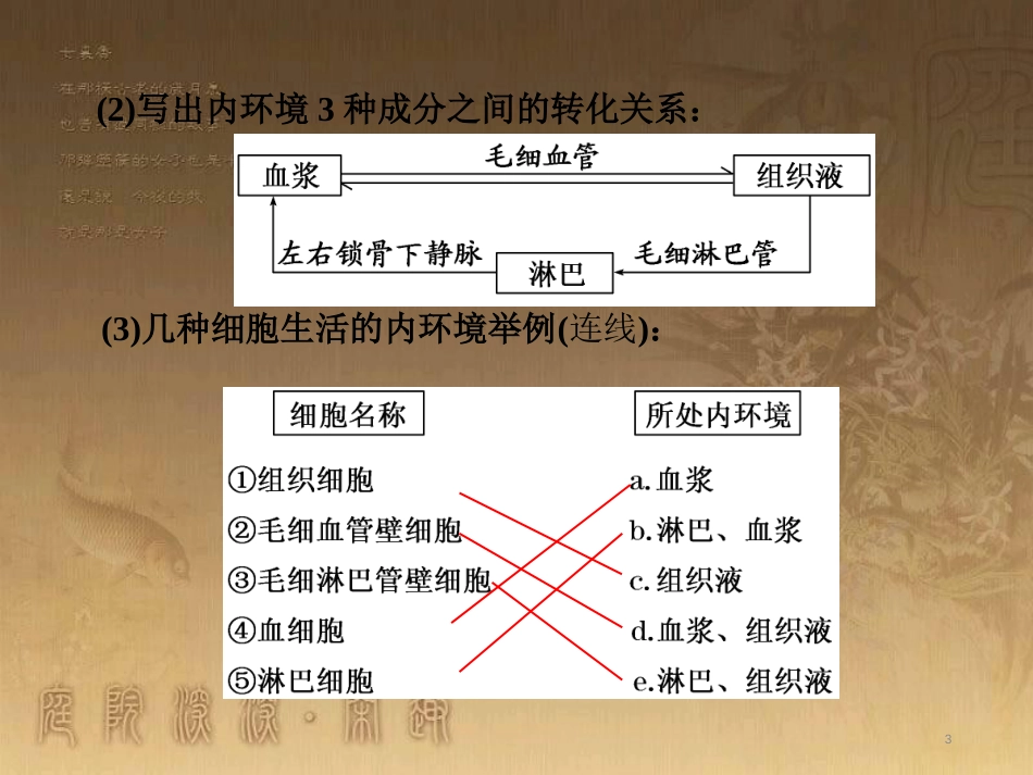 高考生物一轮复习 第二单元 基因的本质与表达 第1讲 DNA是主要的遗传物质课件（必修2） (22)_第3页