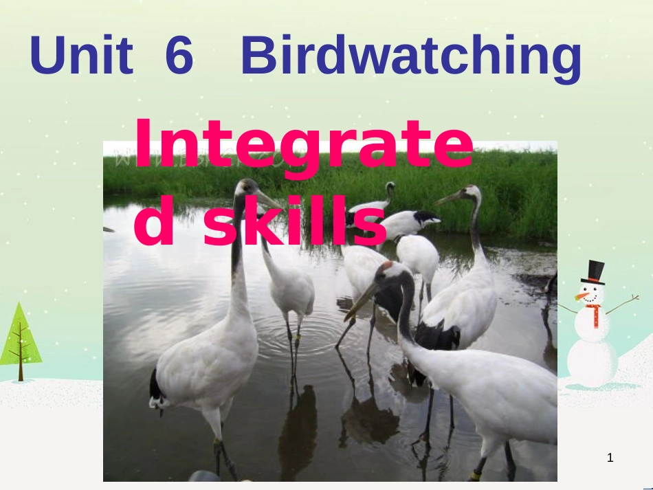 八年级英语上册 Unit 6 Bird watching课件 （新版）牛津版 (8)_第1页