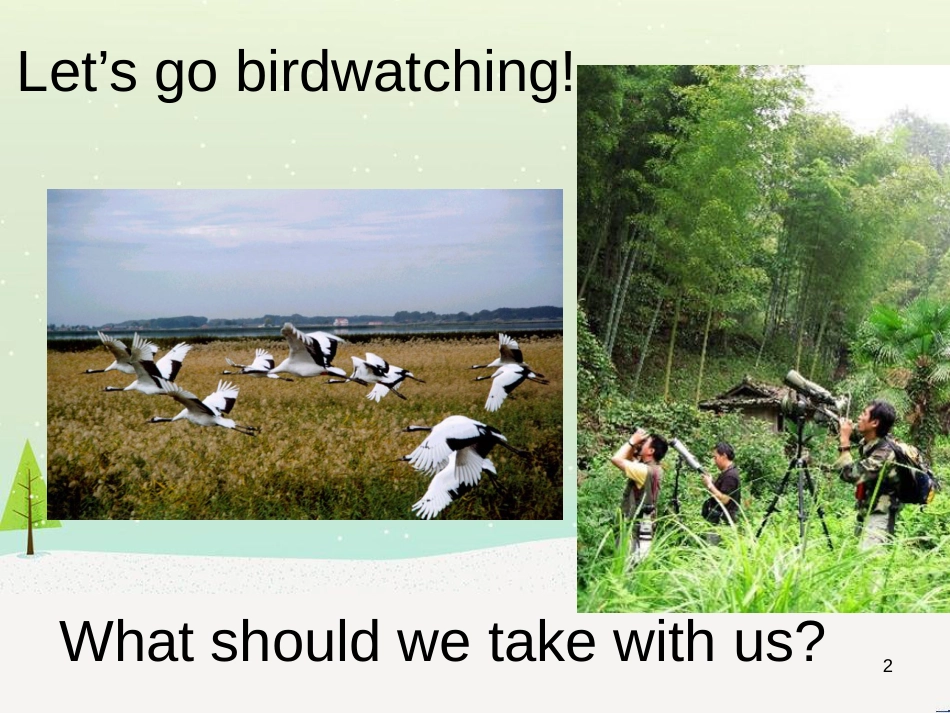 八年级英语上册 Unit 6 Bird watching课件 （新版）牛津版 (8)_第2页