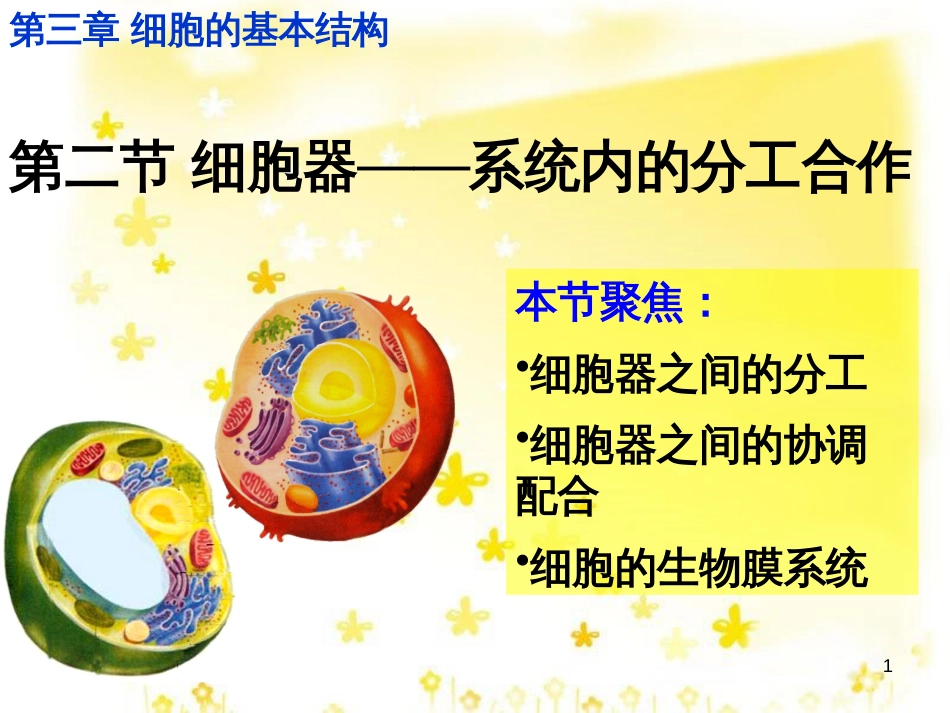 高中生物 第三章 细胞的基本结构 3.2 细胞器——系统内的分工合作课件 新人教版必修1_第1页