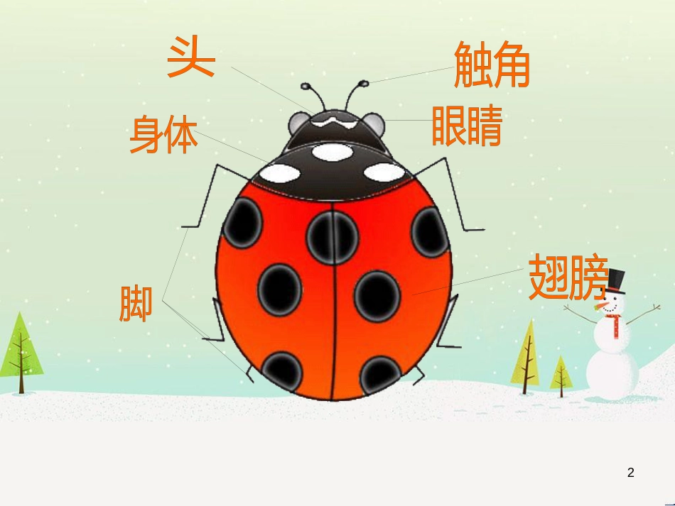 八年级生物下册 13.1 生物的分类课件1 北京版 (30)_第2页