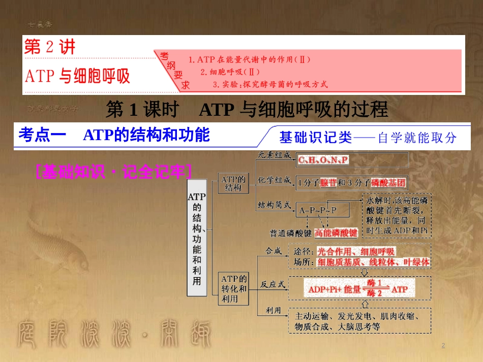 高考生物一轮复习 第二单元 基因的本质与表达 第1讲 DNA是主要的遗传物质课件（必修2） (35)_第2页