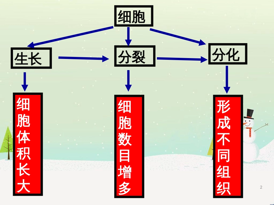 八年级物理上册 1.3《活动降落伞比赛》课件 （新版）教科版 (238)_第2页