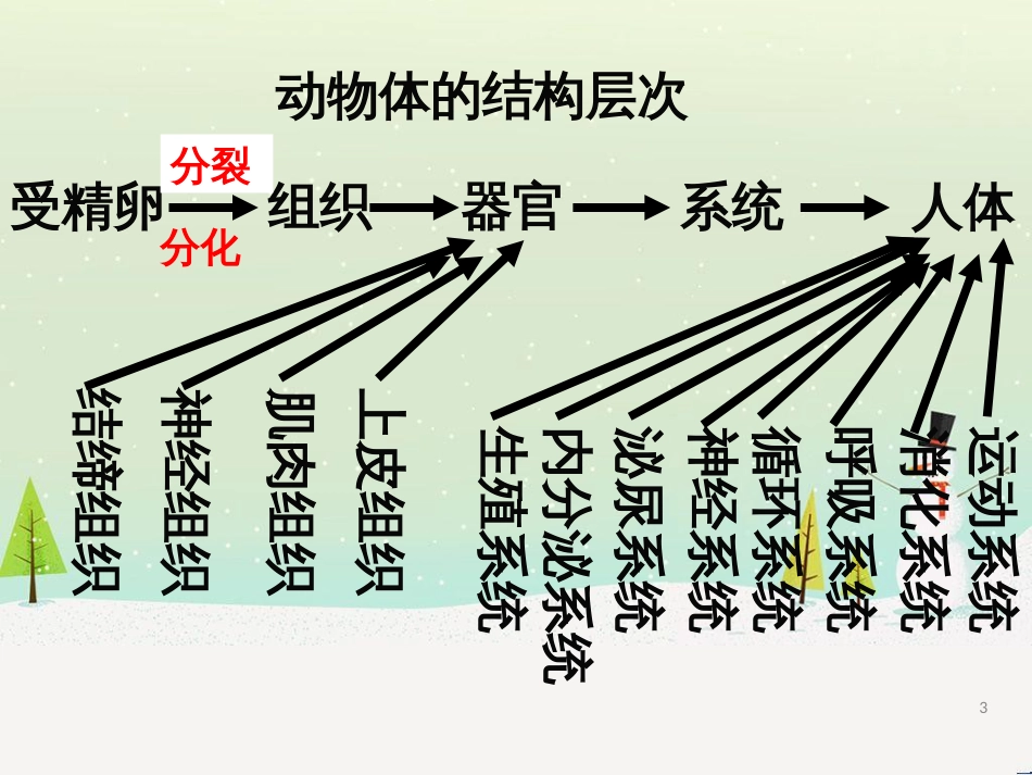 八年级物理上册 1.3《活动降落伞比赛》课件 （新版）教科版 (238)_第3页