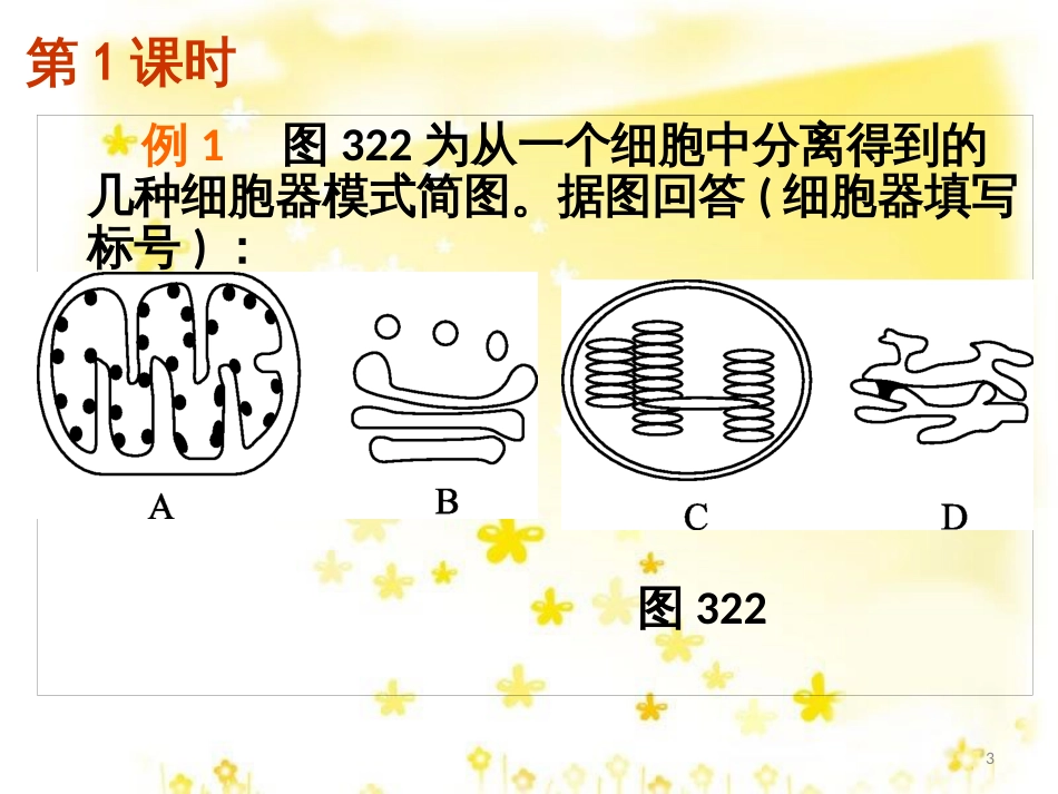 高中生物 第三章 细胞的基本结构 3.2 细胞器-系统内的分工合作习题课课件 新人教版必修1_第3页