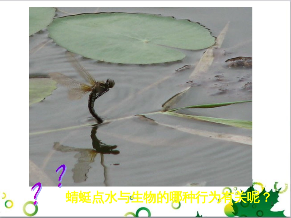 八年级生物下册 第七单元 第一章 第二节 昆虫的生殖和发育课件 （新版）新人教版_第1页