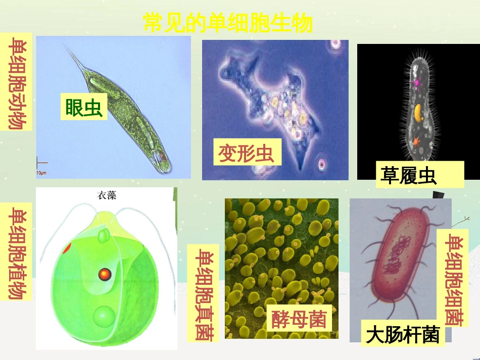 八年级物理上册 1.3《活动降落伞比赛》课件 （新版）教科版 (233)_第3页