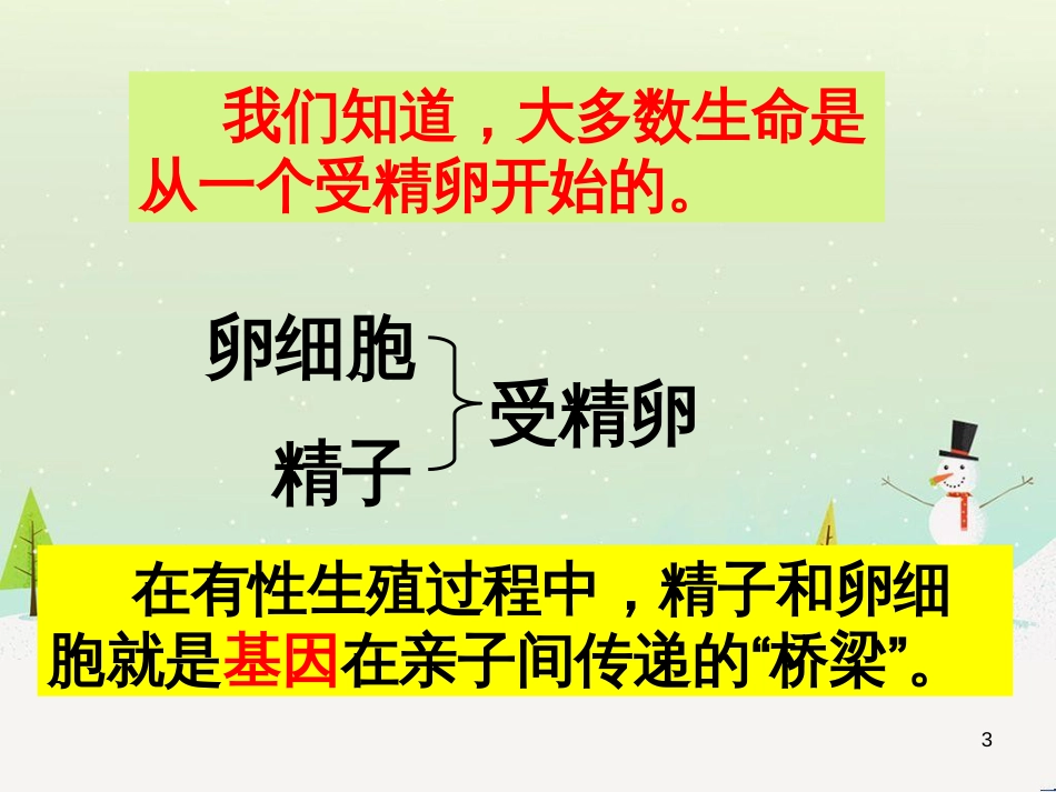 八年级生物下册 第七单元 第二章 第二节 基因在亲子代间的传递课件（2）（新版）新人教版_第3页