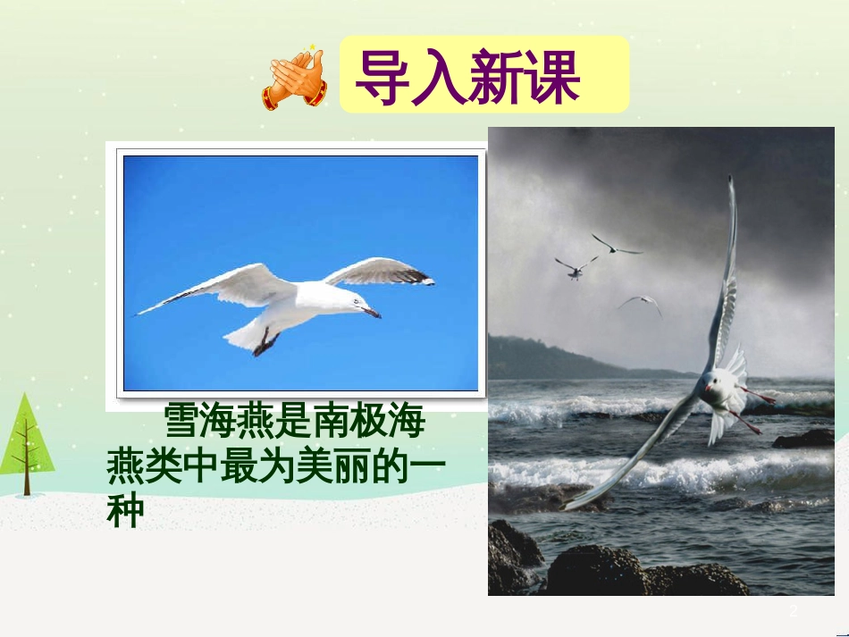 八年级物理上册 1.3《活动降落伞比赛》课件 （新版）教科版 (290)_第2页