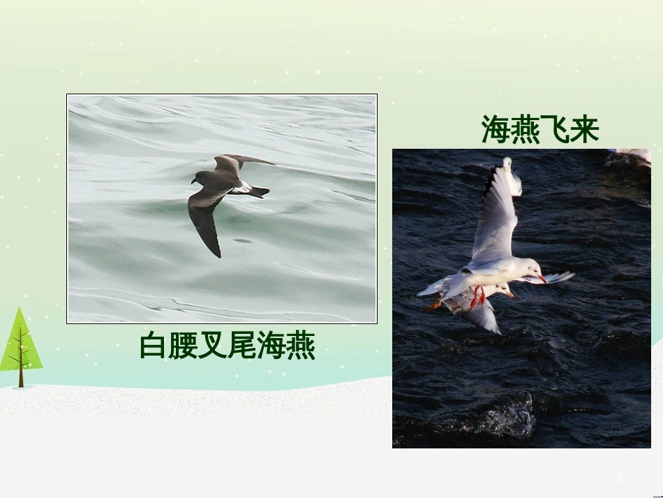 八年级物理上册 1.3《活动降落伞比赛》课件 （新版）教科版 (290)_第3页