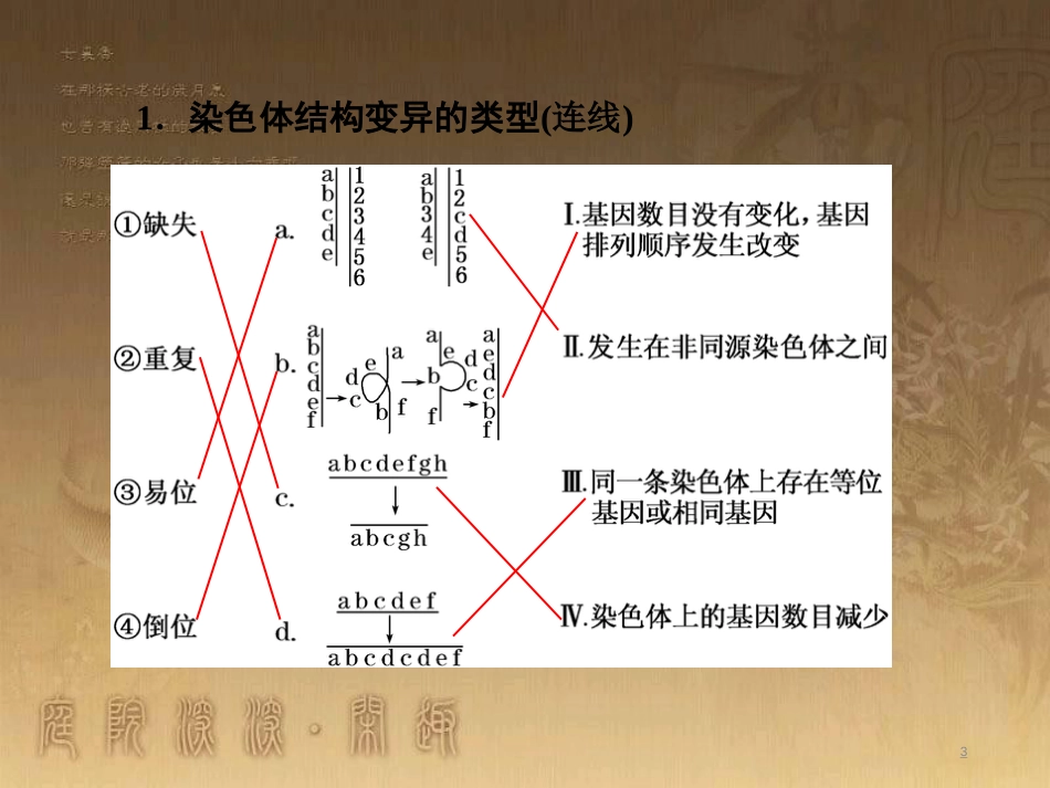 高考生物一轮复习 第二单元 基因的本质与表达 第1讲 DNA是主要的遗传物质课件（必修2） (38)_第3页