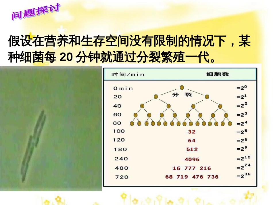 高中生物 第四章 种群和群落 4.2 种群的数量变化教学课件 新人教版必修3_第3页