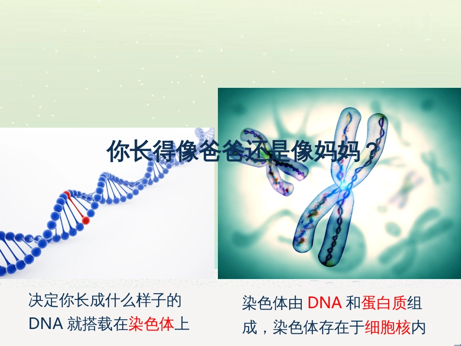 八年级物理上册 1.3《活动降落伞比赛》课件 （新版）教科版 (245)_第2页