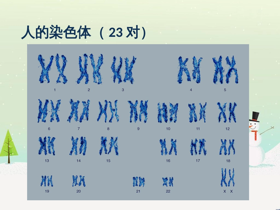 八年级物理上册 1.3《活动降落伞比赛》课件 （新版）教科版 (245)_第3页