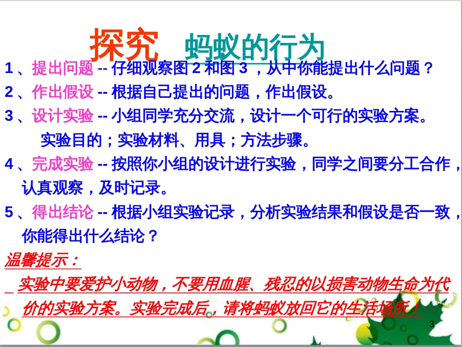 八年级生物上册 4.2.2 动物行为的类型课件 冀教版_第3页