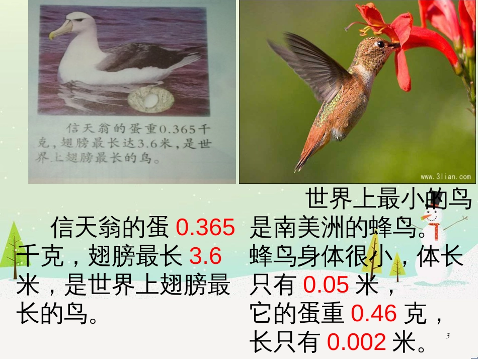 八年级生物下册 13.1 生物的分类课件1 北京版 (242)_第3页