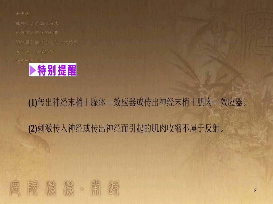 高考生物一轮复习 第八单元 生命活动的调节 第二讲 通过神经系统的调节课件 新人教版 (1)_第3页