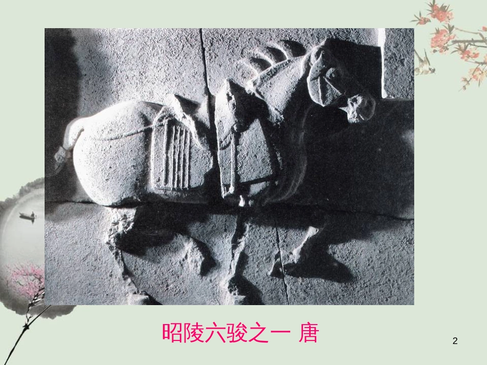 八年级生物下册 13.1 生物的分类课件1 北京版 (887)_第2页