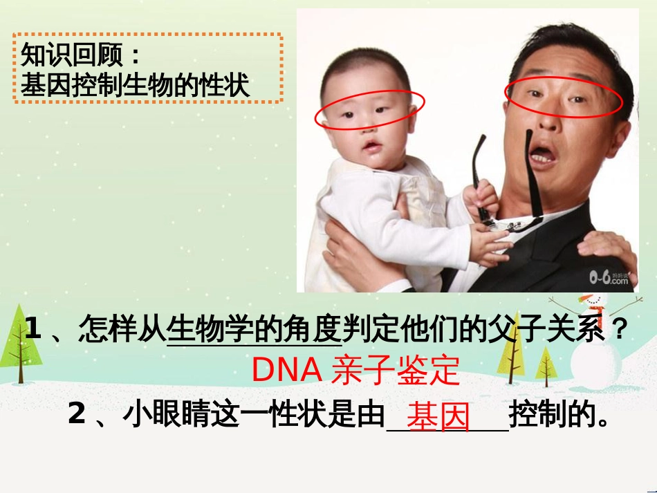 八年级生物下册 第七单元 第二章 第二节 基因在亲子代间的传递课件（1）（新版）新人教版_第2页