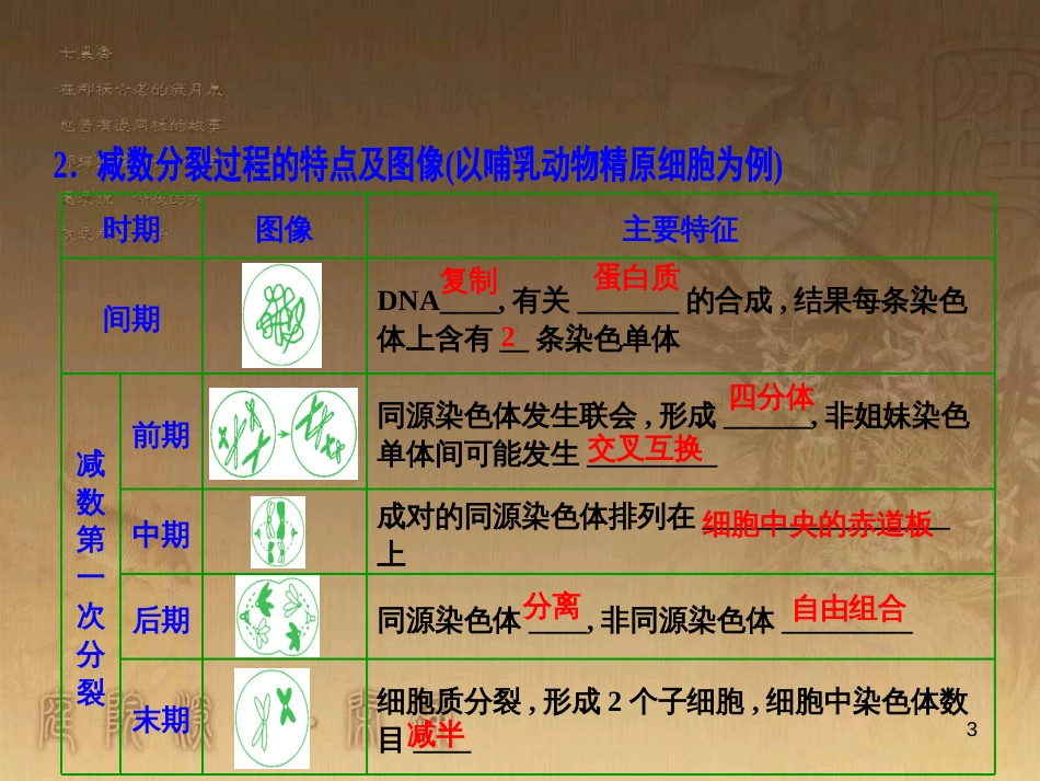高考生物一轮复习 第八单元 生命活动的调节 第二讲 通过神经系统的调节课件 新人教版 (87)_第3页