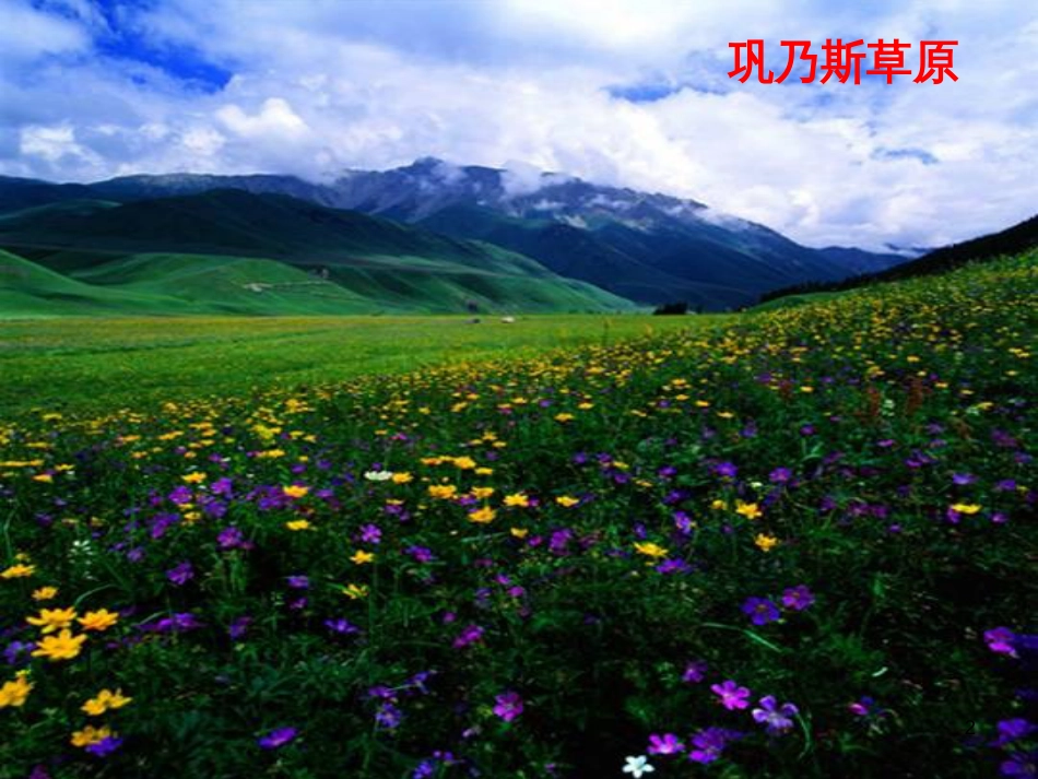 八年级物理上册 1.3《活动降落伞比赛》课件 （新版）教科版 (592)_第2页