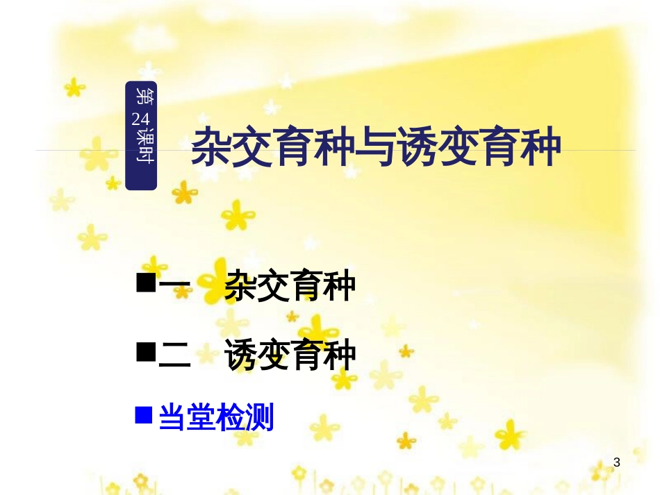 高中生物 第六章 从杂交育种到基因工程 6.1 杂交育种与诱变育种教学课件 新人教版必修2_第3页