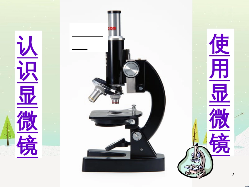 八年级生物上册 5.1.4鱼课件 （新版）新人教版 (6)_第2页