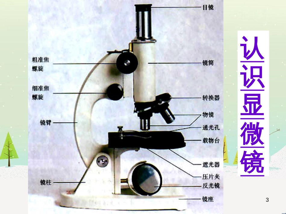 八年级生物上册 5.1.4鱼课件 （新版）新人教版 (6)_第3页