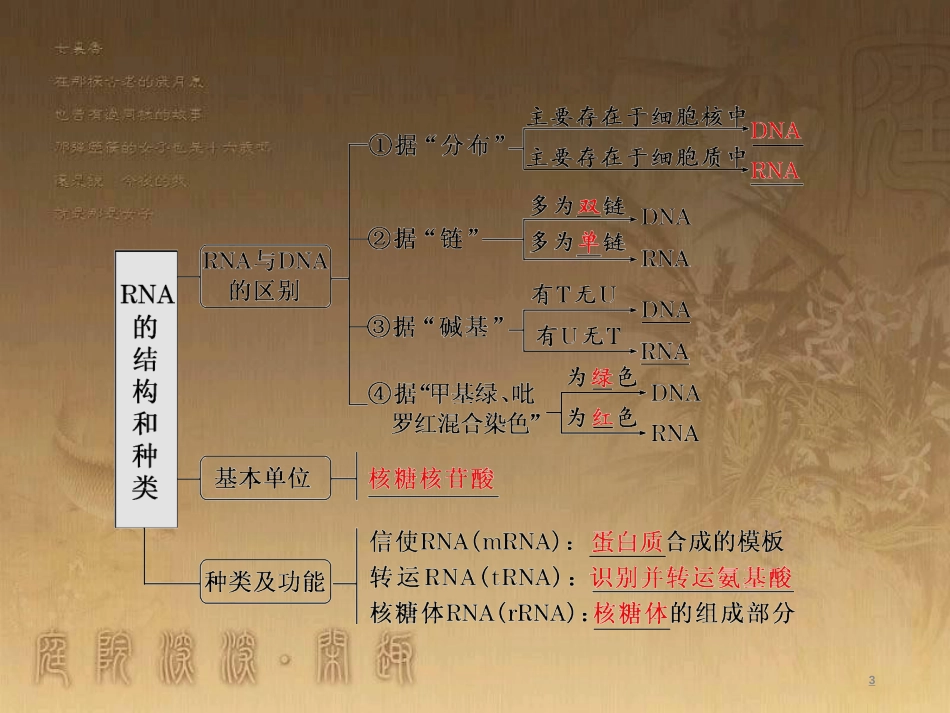 高考生物一轮复习 第二单元 基因的本质与表达 第1讲 DNA是主要的遗传物质课件（必修2） (44)_第3页
