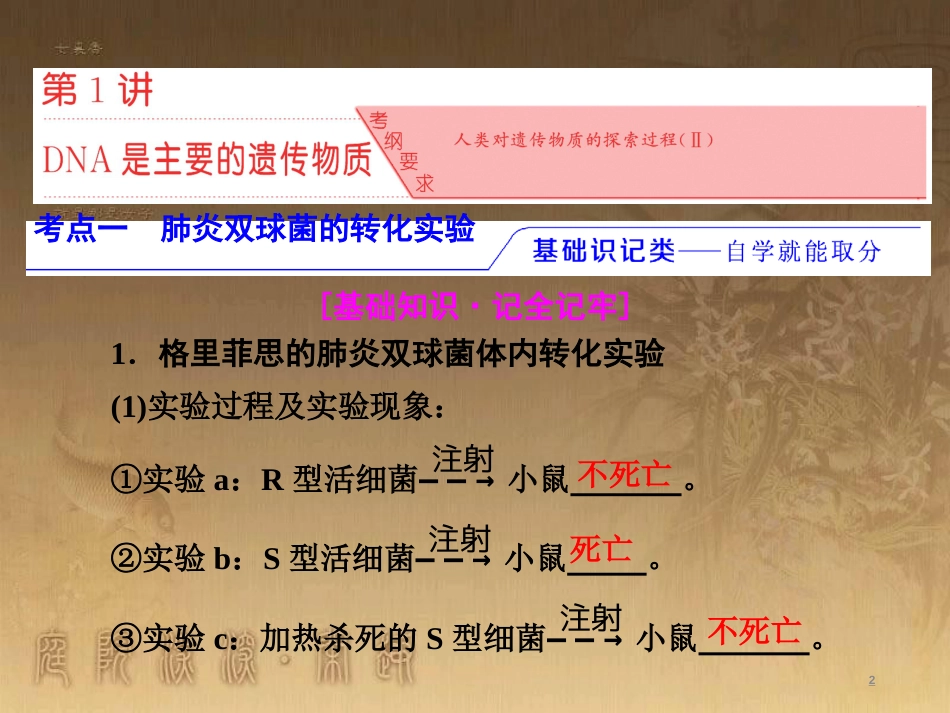 高考生物一轮复习 第二单元 基因的本质与表达 第1讲 DNA是主要的遗传物质课件（必修2） (1)_第2页