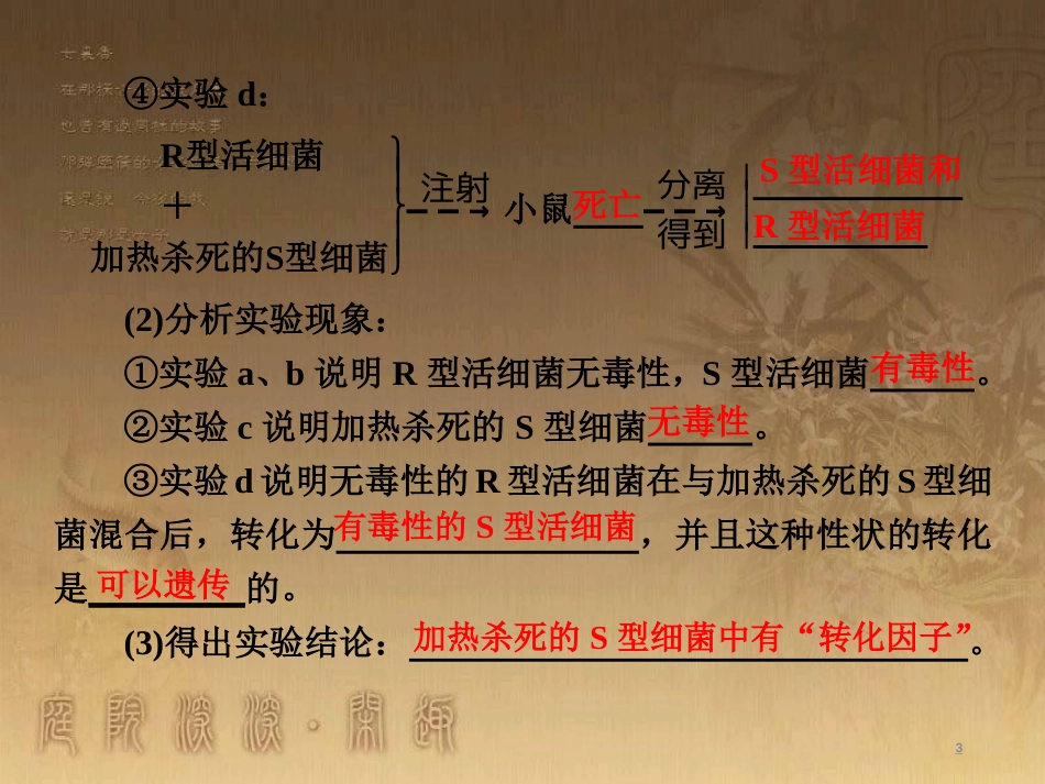 高考生物一轮复习 第二单元 基因的本质与表达 第1讲 DNA是主要的遗传物质课件（必修2） (1)_第3页