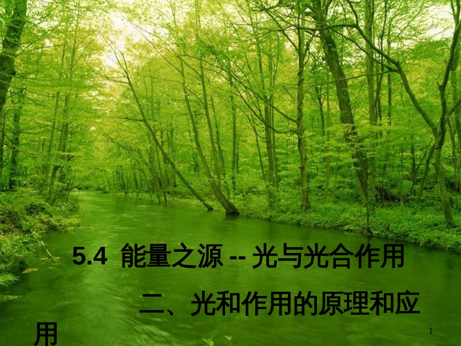 高中语文 11包身工课件 新人教版必修1 (34)_第1页