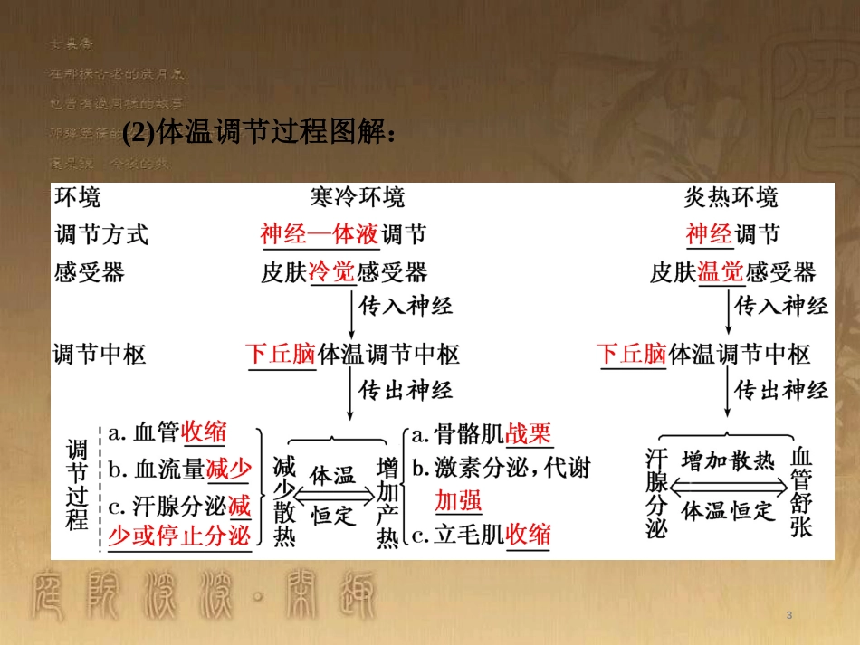 高考生物一轮复习 第二单元 基因的本质与表达 第1讲 DNA是主要的遗传物质课件（必修2） (19)_第3页