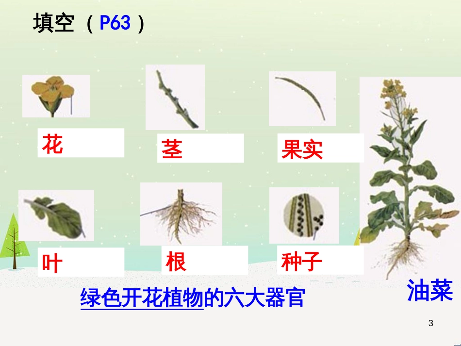 八年级物理上册 1.3《活动降落伞比赛》课件 （新版）教科版 (239)_第3页