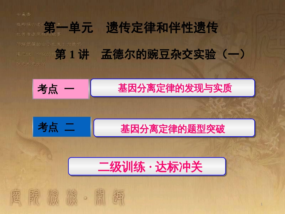 高考生物一轮复习 第二单元 基因的本质与表达 第1讲 DNA是主要的遗传物质课件（必修2） (13)_第1页