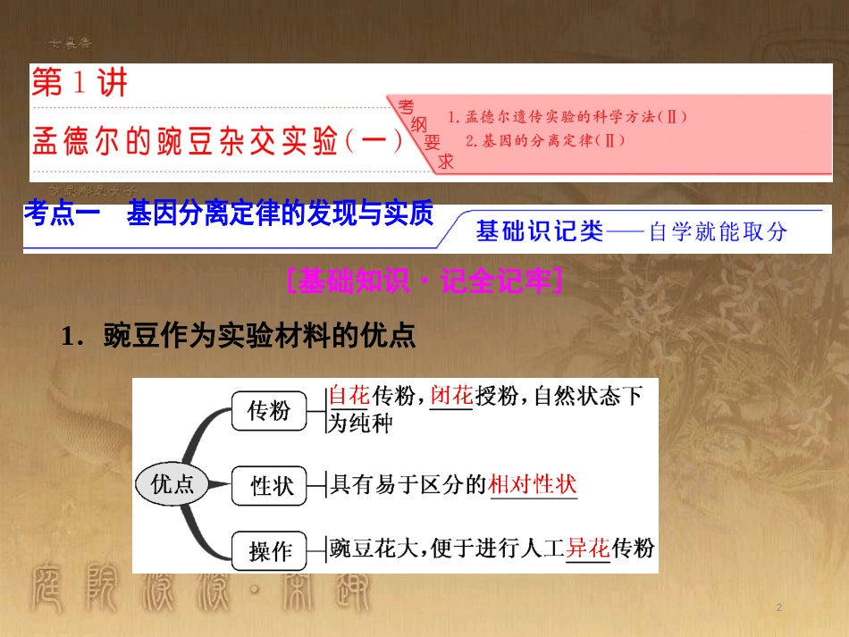 高考生物一轮复习 第二单元 基因的本质与表达 第1讲 DNA是主要的遗传物质课件（必修2） (13)_第2页