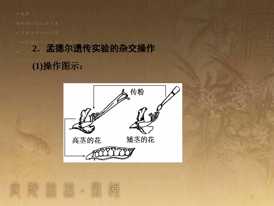 高考生物一轮复习 第二单元 基因的本质与表达 第1讲 DNA是主要的遗传物质课件（必修2） (13)_第3页