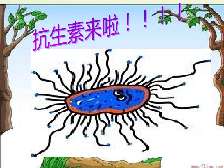 八年级生物下册 13.1 生物的分类课件1 北京版 (1302)_第3页