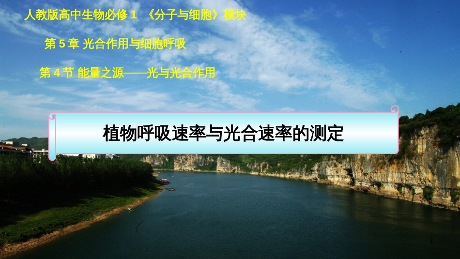 高中生物 第五章 基因突变及其他变异 5.3 人类遗传病课件 新人教版必修2 (76)_第1页