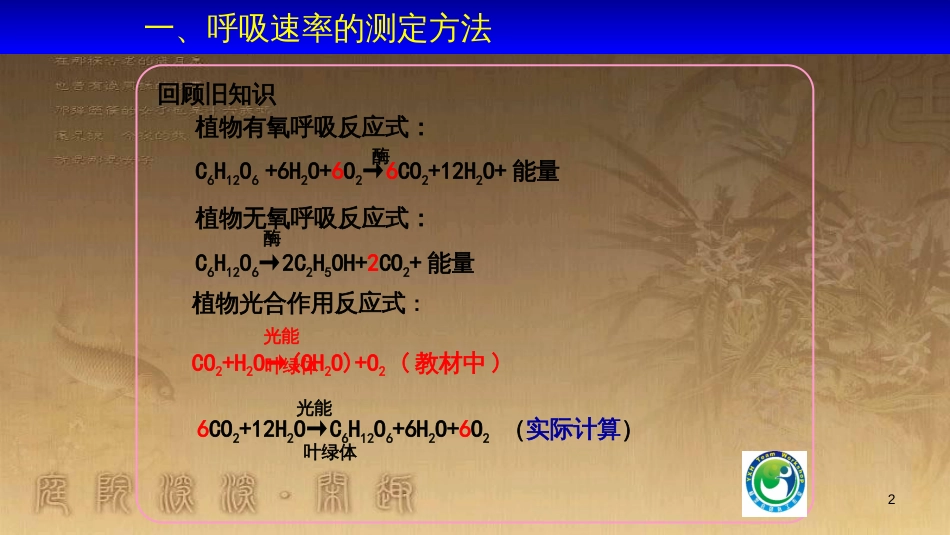 高中生物 第五章 基因突变及其他变异 5.3 人类遗传病课件 新人教版必修2 (76)_第2页