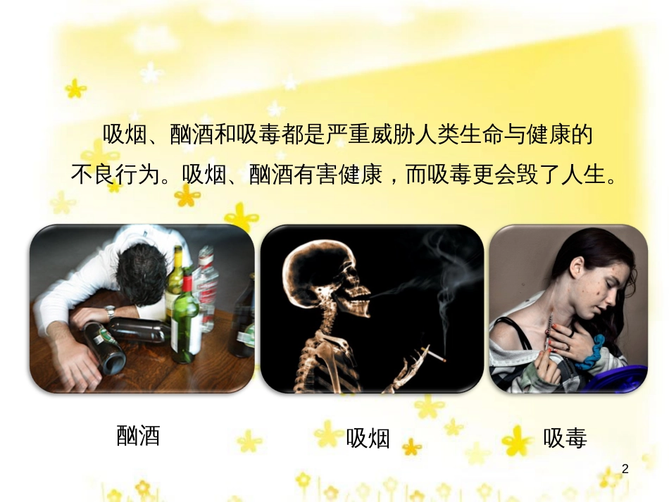 八年级生物下册 第8单元 健康地生活 第25章 第3节《远离烟酒 拒绝毒品》课件2 （新版）苏科版_第2页