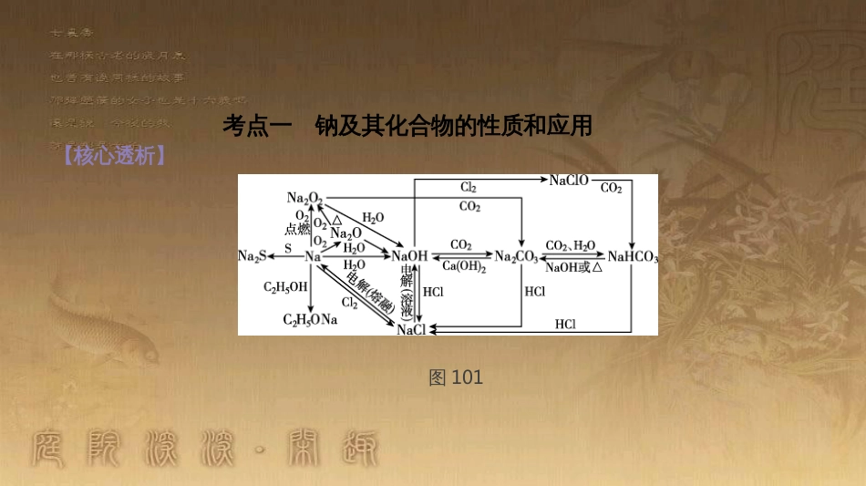 高三化学二轮复习 复习课件离子反应32课件 (2)_第3页