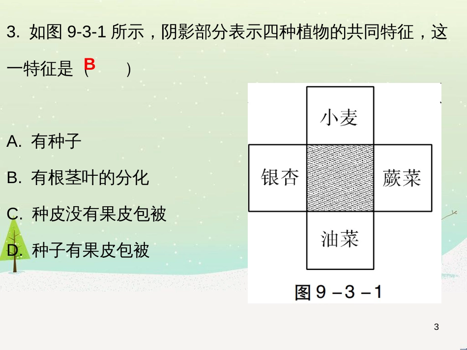 高考地理 技法点拨——气候 1 (23)_第3页
