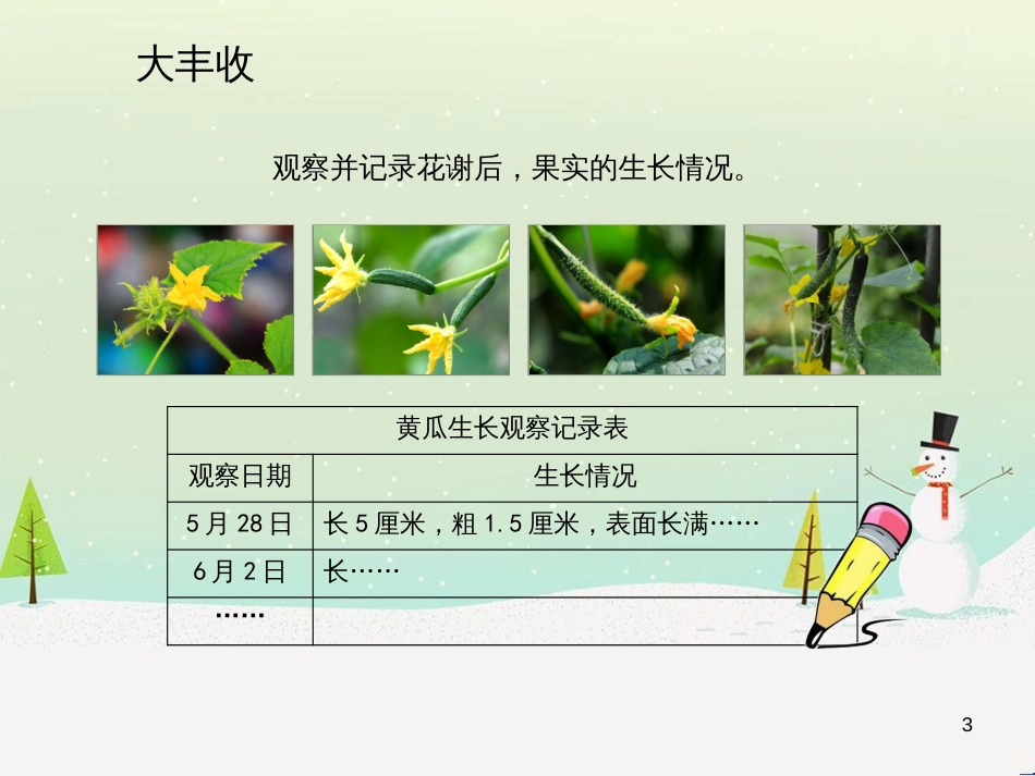 八年级生物下册 13.1 生物的分类课件1 北京版 (450)_第3页