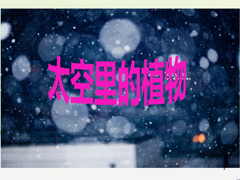 八年级生物下册 13.1 生物的分类课件1 北京版 (21)_第1页