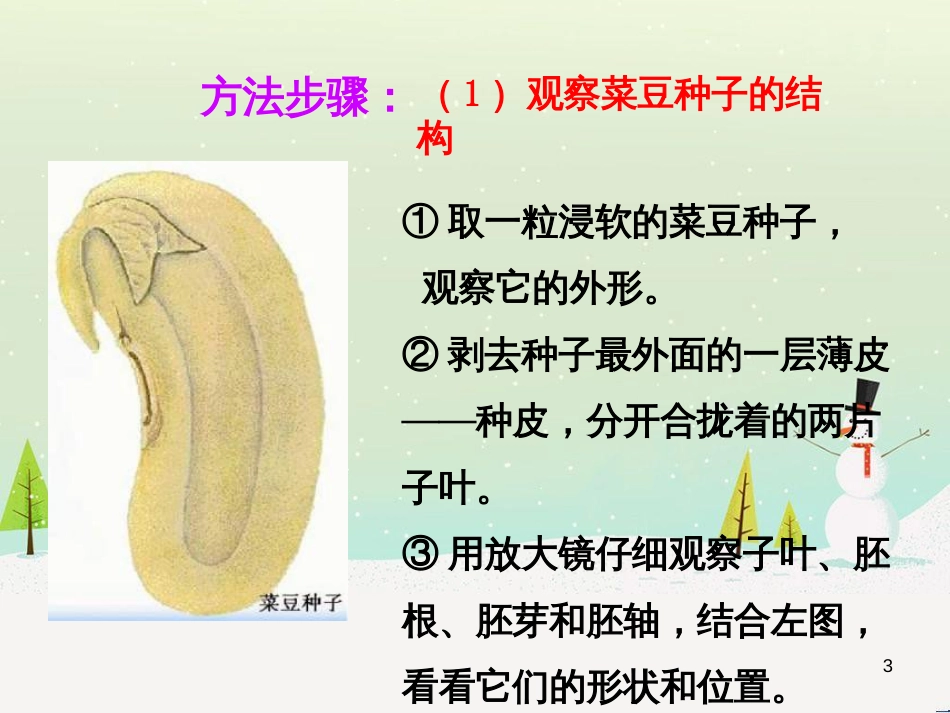 八年级物理上册 1.3《活动降落伞比赛》课件 （新版）教科版 (219)_第3页